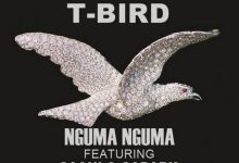 T-Bird - Nguma Nguma ft. Dagbon Saani & Sapark