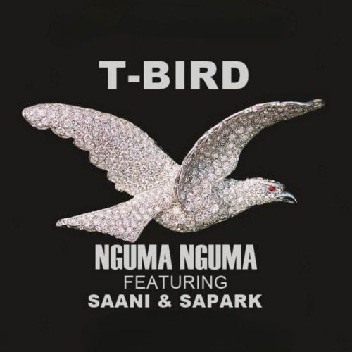 T-Bird - Nguma Nguma ft. Dagbon Saani & Sapark