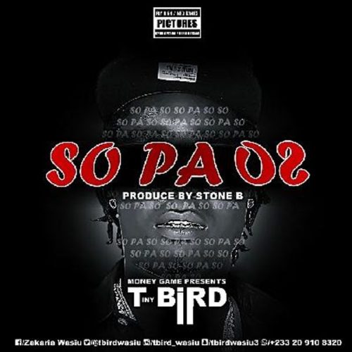 T-Bird - SO PA SO