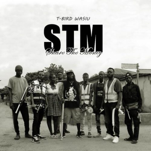 T-Bird - STM (Share The Money)