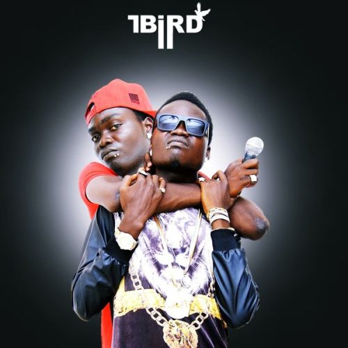 T-Bird - TiBiYenChe ft. Dr Fiza & Dagbon Saani