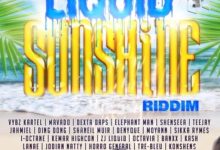 Vybz Kartel - Party Nice (Liquid Sunshine RIddim)