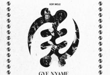 Kofi Mole - Gye Nyame Album Artwork