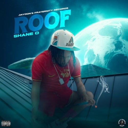 Shane O - Roof