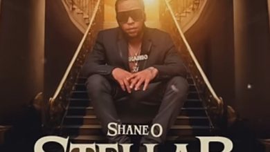 Shane O - Stellar