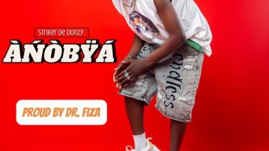 Striker De Donzy - Anobya