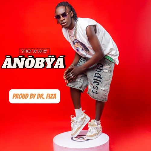 Striker De Donzy - Anobya