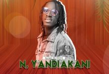 Striker De Donzy - N'yandiakani