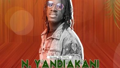 Striker De Donzy - N'yandiakani