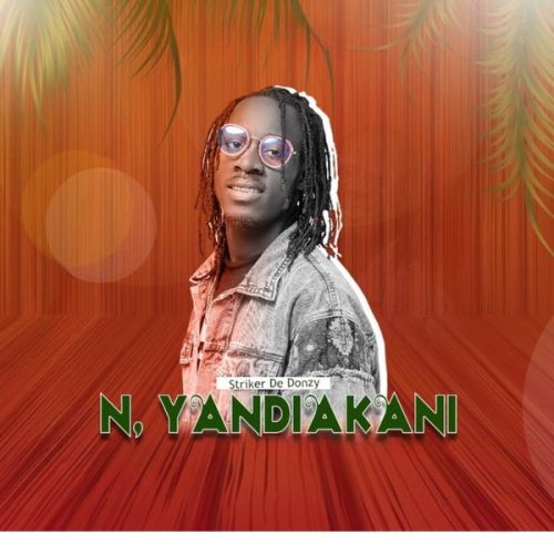 Striker De Donzy - N'yandiakani