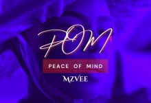 MzVee - POM (Peace Of Mind)