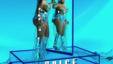 Spice - Mirror 25 Album Artwork