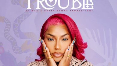 Stefflon Don ft. DJ MAC, CrashDummy - Trouble