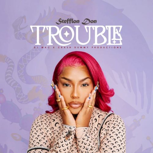 Stefflon Don ft. DJ MAC, CrashDummy - Trouble