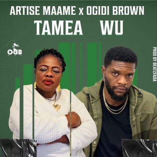 Artise Maame ft. Ogidi Brown - Tamea Wu