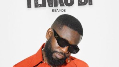 Bisa Kdei - Yenkodi