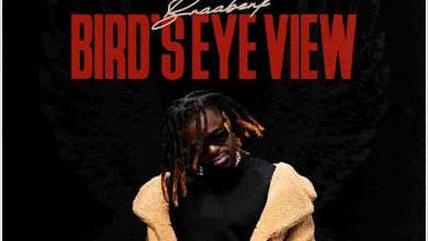 Braa Benk – Bird's Eye View Album Artwork