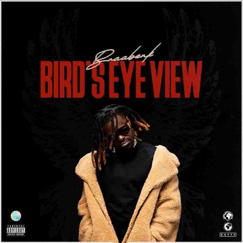 Braa Benk – Bird's Eye View Album Artwork