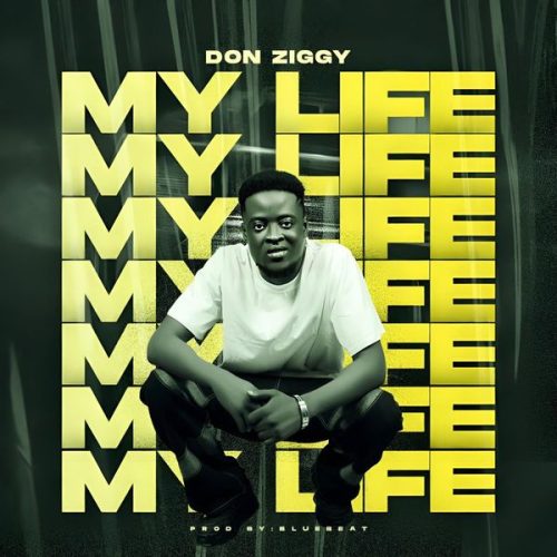 Don Ziggy - My Life