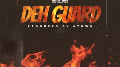 Shatta Wale - Deh Guard