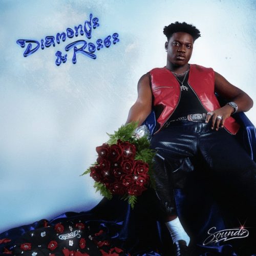 Soundz - Diamond & Roses EP Artwork