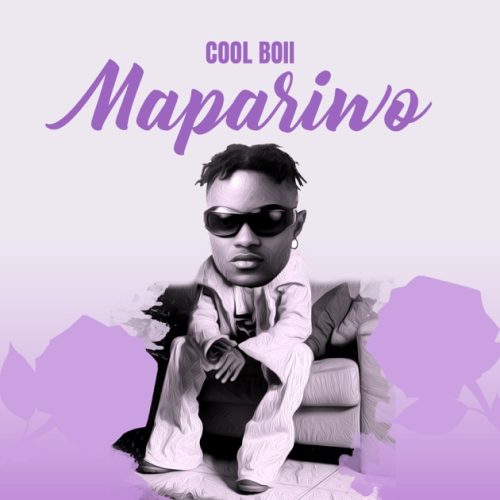 Cool Boii - Mapariwo