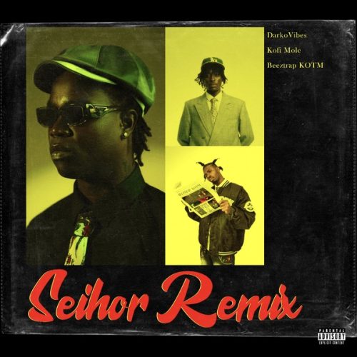 DarkoVibes ft. Kofi Mole & Beeztrap KOTM - Seihor (Remix)