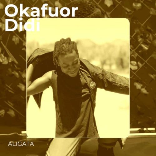 Aligata - Okafour Didi Afrobeats Mix