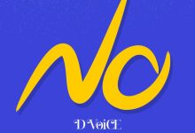 D Voice - NO