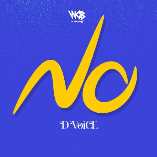 D Voice - NO