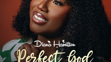 Diana Hamilton – Perfect God (He Loves Me) Song Artwork