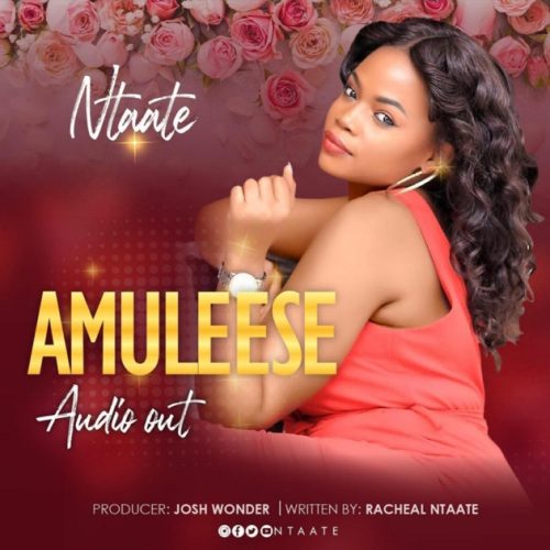 Ntaate - Amuleese