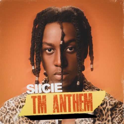 Siicie - TM Anthem