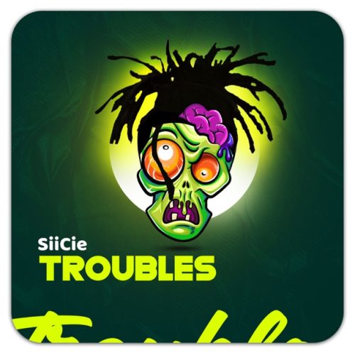 Siicie - Troubles