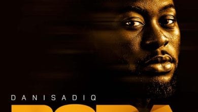 Danisadiq - Bora EP cover art