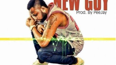 Double Tee - New Guy (2017) cover art