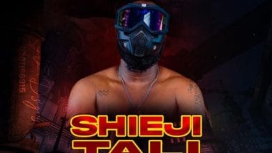 Double Tee - Shieji Tali cover art