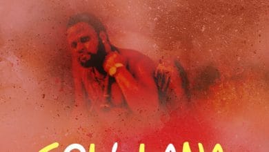 Double Tee - Solilana cover art