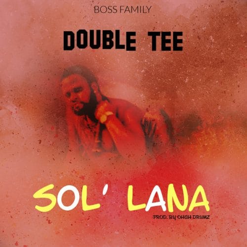 Double Tee - Solilana cover art