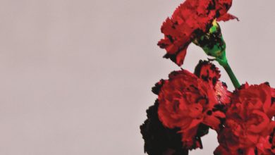 John Legend - All Of Me cover art