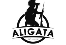 Aligata - Do Di Work cover art