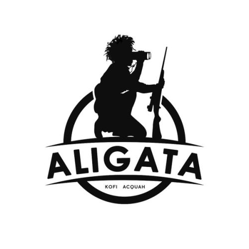Aligata - Do Di Work cover art