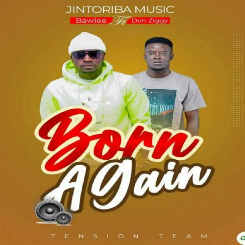 Bawlee – Born Again ft. Don Ziggy cover art