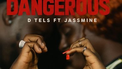 D Tels - LOVE IS DANGEROUS ft. Jassmine cover art