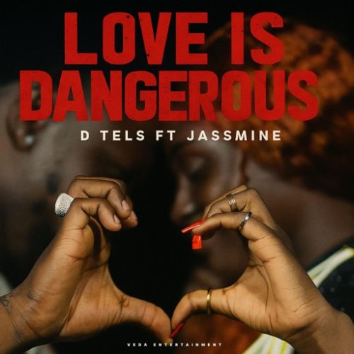 D Tels - LOVE IS DANGEROUS ft. Jassmine cover art