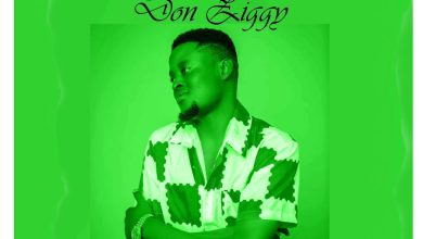 Don Ziggy – DJ Carlos cover art