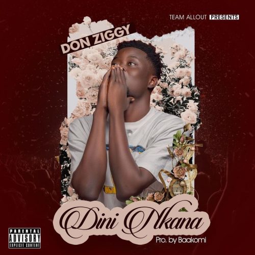 Don Ziggy – Dini Nkana cover art