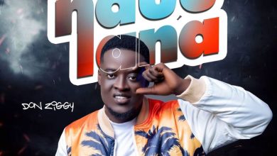 Don Ziggy – Nduu Lana cover art