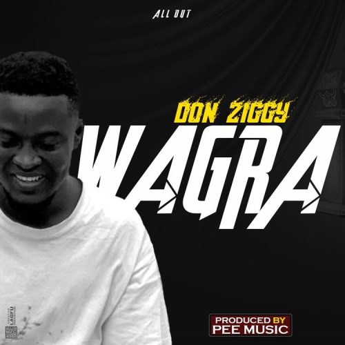 Don Ziggy – Wagra cover art