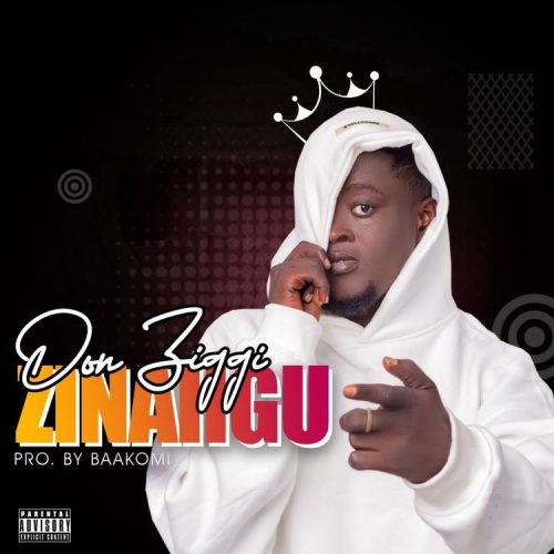 Don Ziggy – Zinahgu cover art